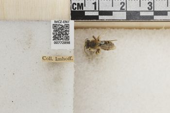 Media type: image;   Entomology 772898 Aspect: Labels